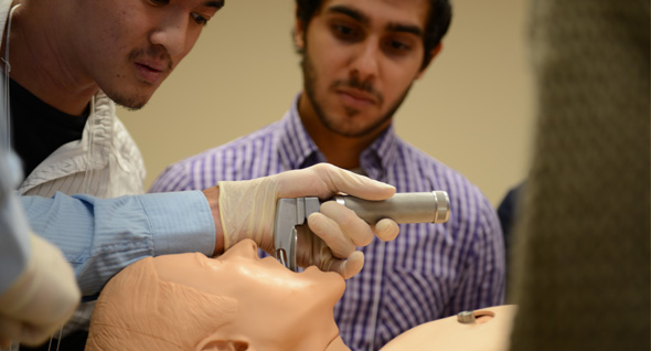 Les techniques d'intubation chez l'adulte.