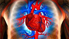 110301_04932_coeur_cardiaque_4