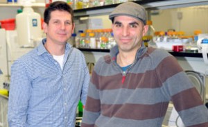 De gauche à droite : Michel Cayouette et Pierre Mattar. Image : IRCM 