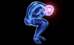 cerveau-douleur-amygdale