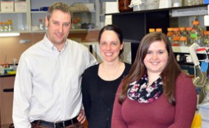 Des chercheurs à l'IRCM découvrent une nouvelle fonction de l'os en lien avec le métabolisme de l'énergie et du glucose. De gauche à droite : Mathieu Ferron, Julie Lacombe, Amélie Germain. Photo : IRCM