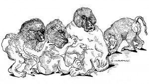 article_luis barreiro