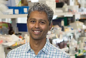 fernandes-karl_4761_1l-300-web_0