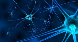 cellule_nerveuse_nouvelles