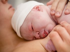 shutterstock_62050435_WEB