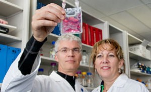 guy-sauvageau_anne-marinier_sang-de-cordon_2014-09-18_photo-1